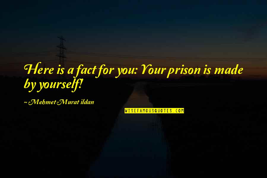 Brain Based Instruction Quotes By Mehmet Murat Ildan: Here is a fact for you: Your prison