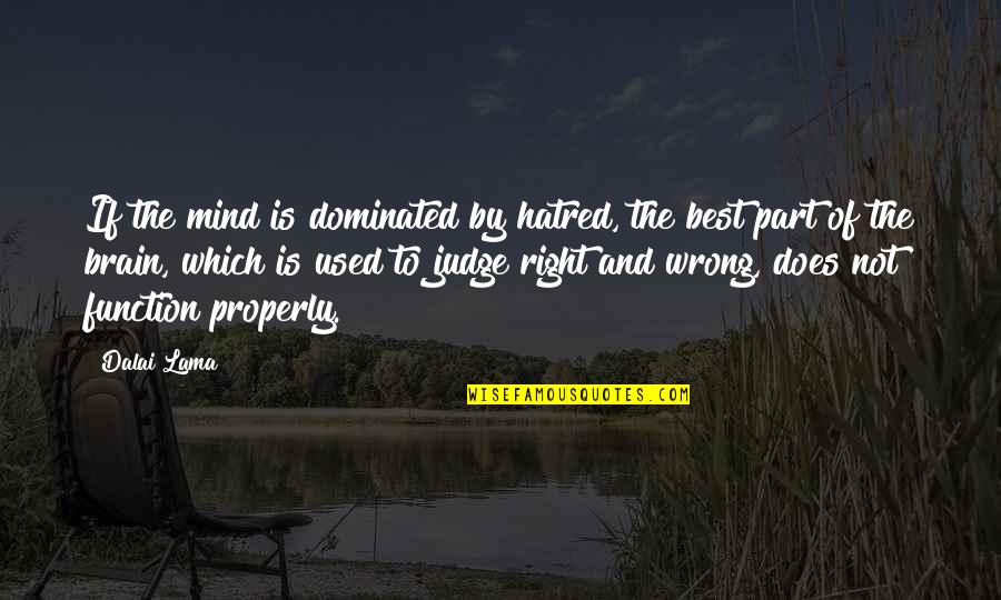 Brain Function Quotes By Dalai Lama: If the mind is dominated by hatred, the