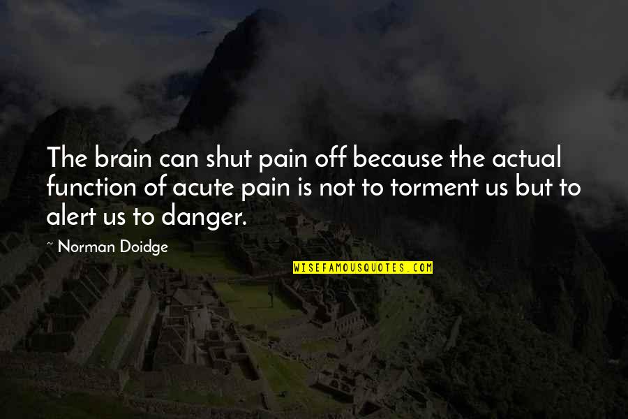 Brain Function Quotes By Norman Doidge: The brain can shut pain off because the