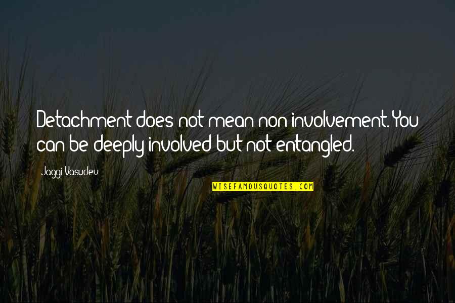 Brandvold Lynn Quotes By Jaggi Vasudev: Detachment does not mean non-involvement. You can be