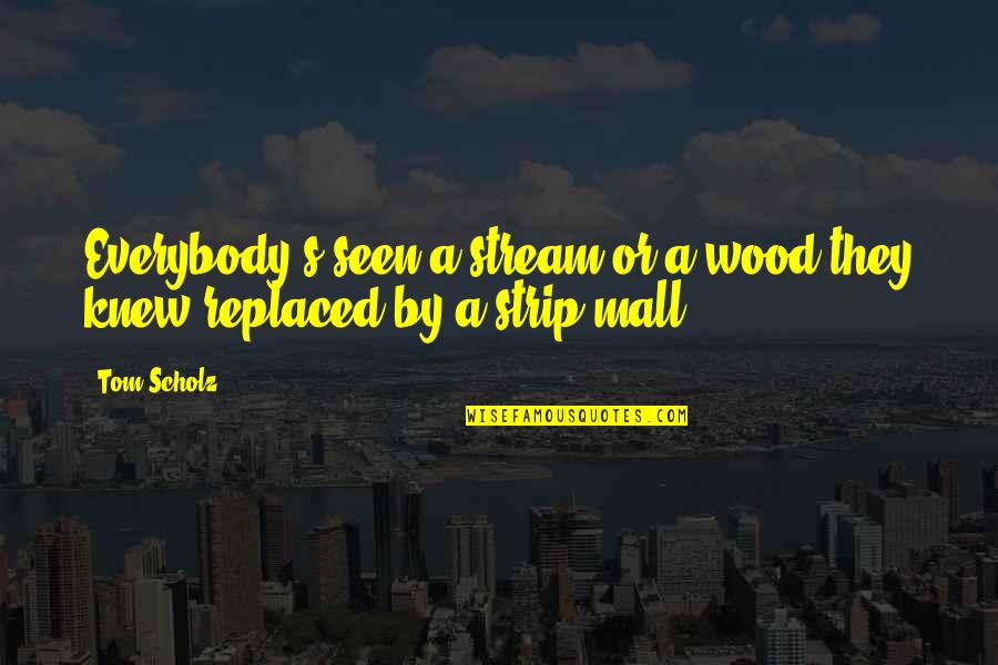 Bravery From Divergent Quotes By Tom Scholz: Everybody's seen a stream or a wood they