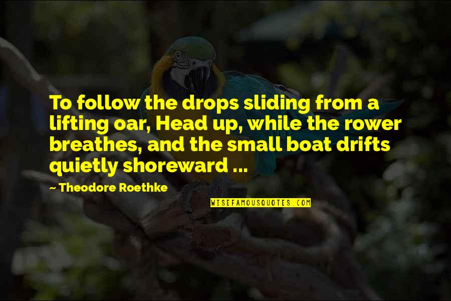 Breathe For A While Quotes By Theodore Roethke: To follow the drops sliding from a lifting