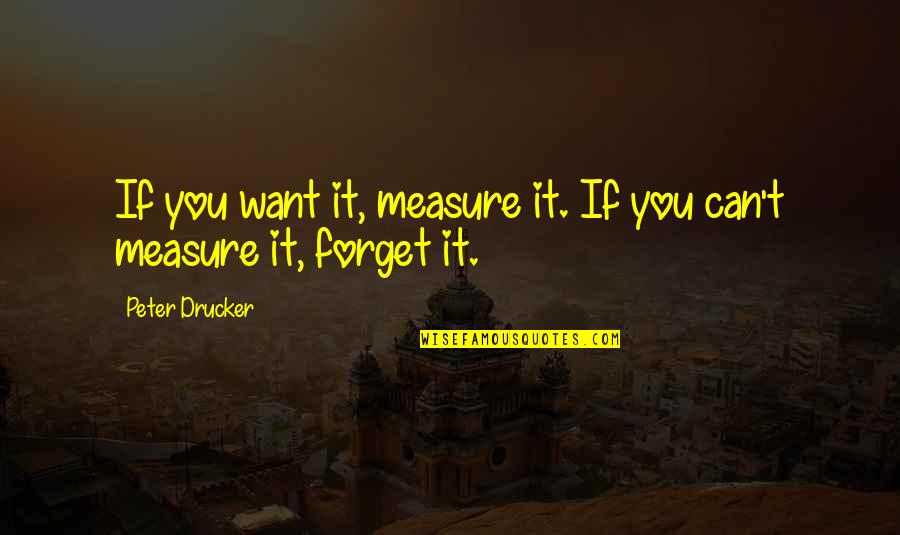 Breazy Boutique Quotes By Peter Drucker: If you want it, measure it. If you