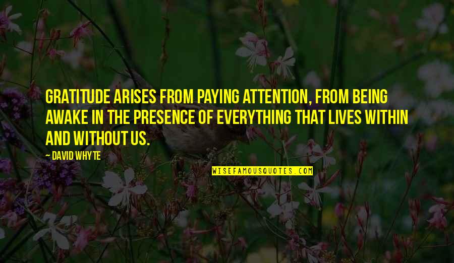 Brechling Quotes By David Whyte: Gratitude arises from paying attention, from being awake