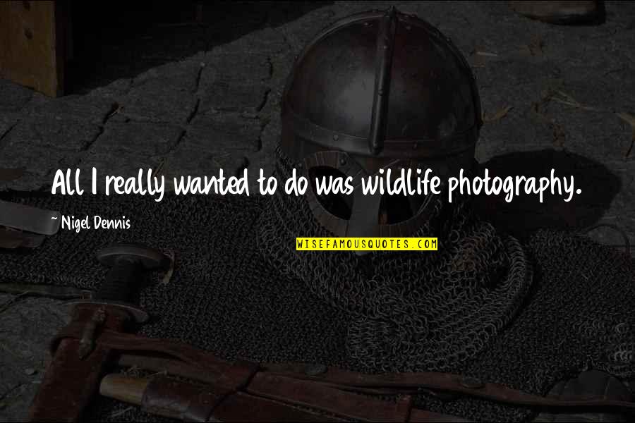 Breeanna Weidenbener Quotes By Nigel Dennis: All I really wanted to do was wildlife