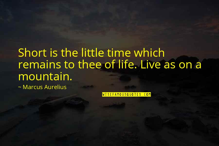 Brentham House Quotes By Marcus Aurelius: Short is the little time which remains to