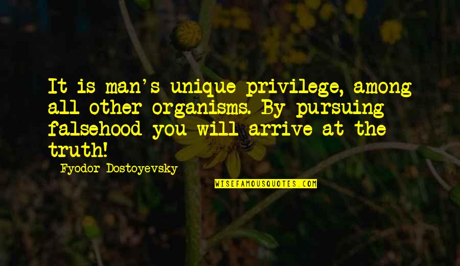 Bretones Significado Quotes By Fyodor Dostoyevsky: It is man's unique privilege, among all other