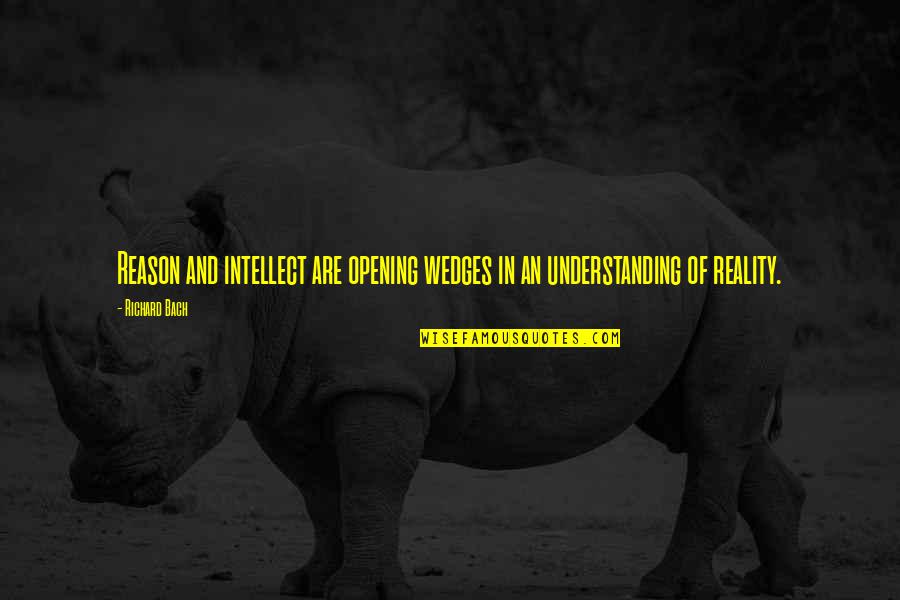 Bridging Finance Quotes By Richard Bach: Reason and intellect are opening wedges in an