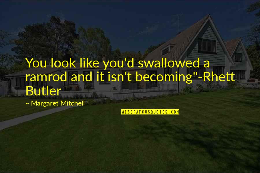 Bright Side Funny Quotes By Margaret Mitchell: You look like you'd swallowed a ramrod and