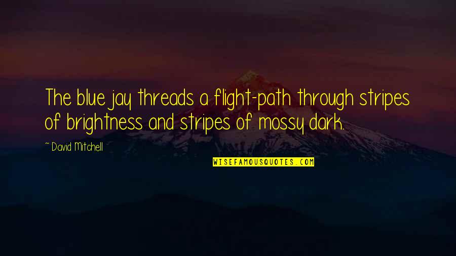 Brightness Quotes By David Mitchell: The blue jay threads a flight-path through stripes