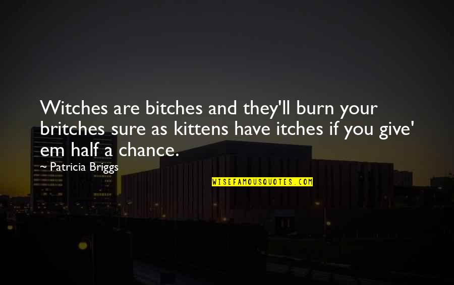 Britches Quotes By Patricia Briggs: Witches are bitches and they'll burn your britches