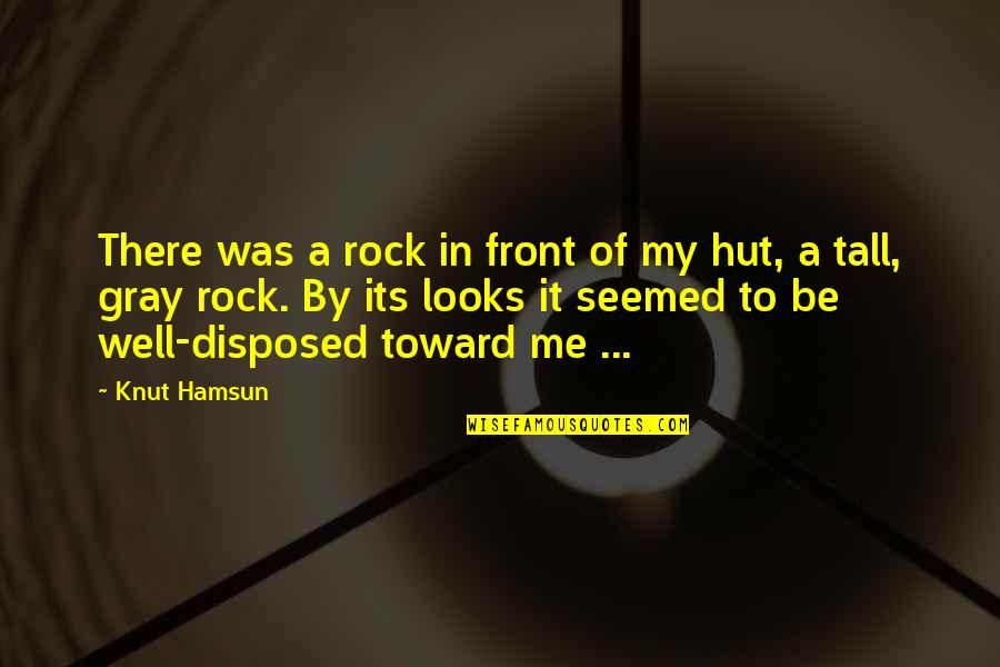 Brothers And Football Quotes By Knut Hamsun: There was a rock in front of my