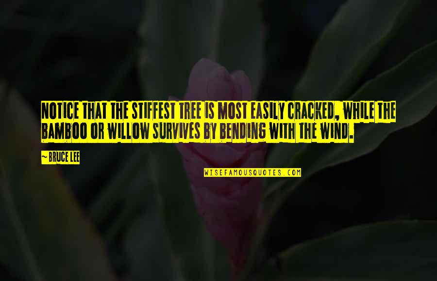 Bruce Lee Bamboo Quotes By Bruce Lee: Notice that the stiffest tree is most easily