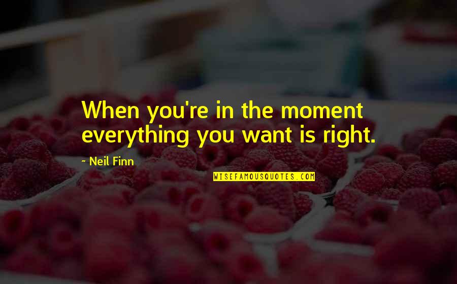 Bruckhaus Quotes By Neil Finn: When you're in the moment everything you want