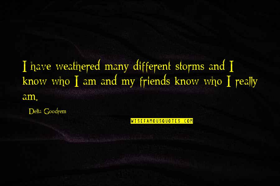 Bubbelkoning Quotes By Delta Goodrem: I have weathered many different storms and I