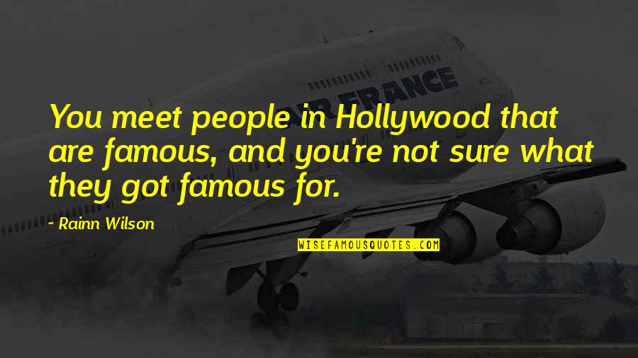 Buchikas Salem Quotes By Rainn Wilson: You meet people in Hollywood that are famous,