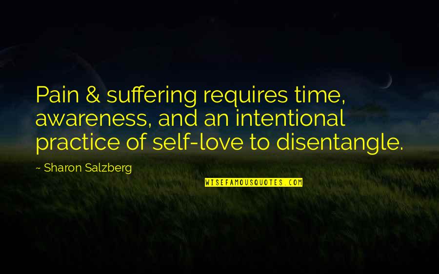 Buddhism Love Quotes By Sharon Salzberg: Pain & suffering requires time, awareness, and an