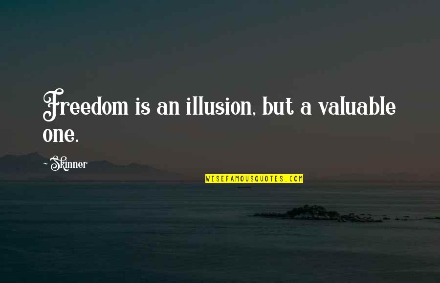 Buencamino Folk Quotes By Skinner: Freedom is an illusion, but a valuable one.