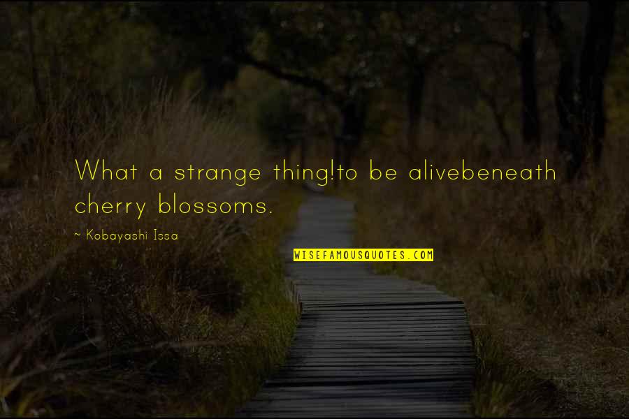 Bulking Season Quotes By Kobayashi Issa: What a strange thing!to be alivebeneath cherry blossoms.