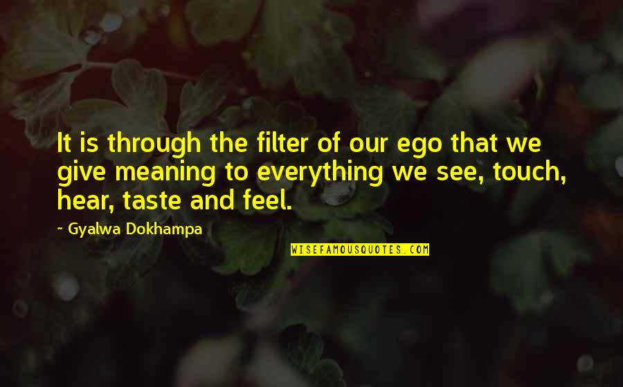 Bullfrogs Bar Quotes By Gyalwa Dokhampa: It is through the filter of our ego