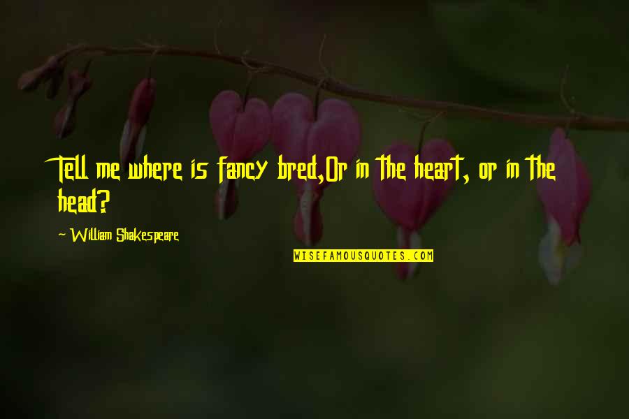 Burro Quotes By William Shakespeare: Tell me where is fancy bred,Or in the