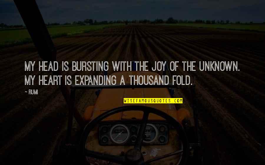 Bursting Quotes By Rumi: My head is bursting with the joy of