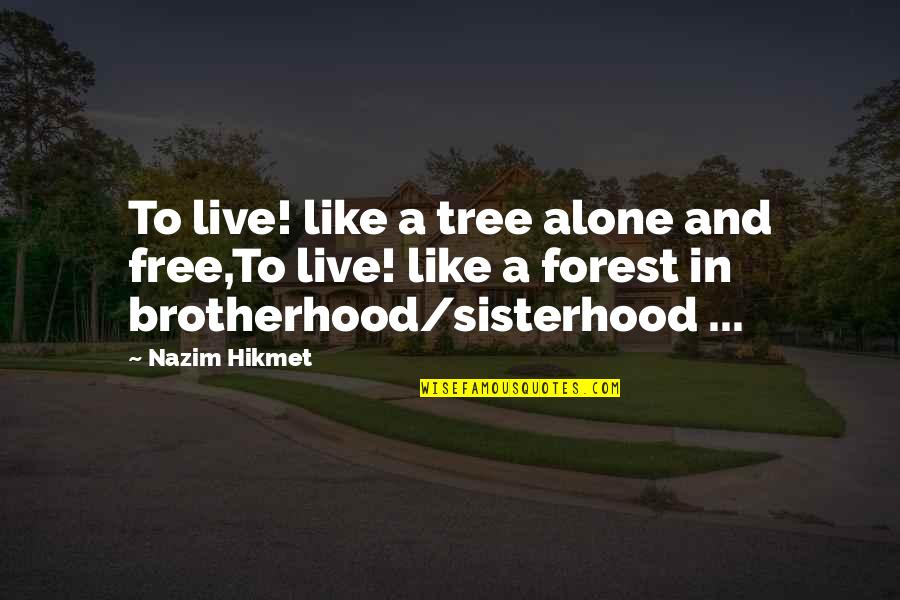 Buscan Quotes By Nazim Hikmet: To live! like a tree alone and free,To