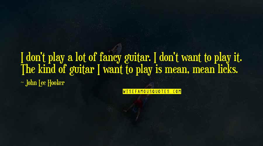 Bushisms Fool Quotes By John Lee Hooker: I don't play a lot of fancy guitar.