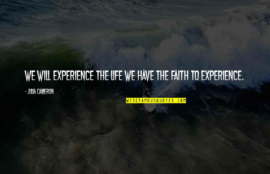 Bushkook Quotes By Julia Cameron: We will experience the life we have the