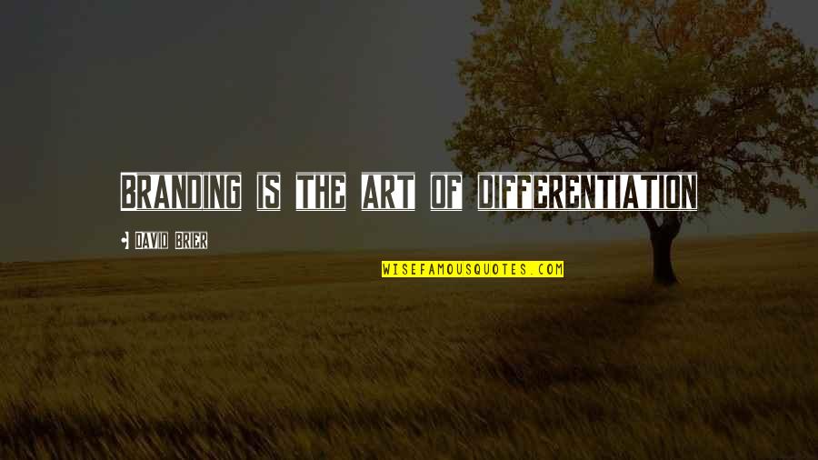 Business Strategy Quotes By David Brier: Branding is the art of differentiation