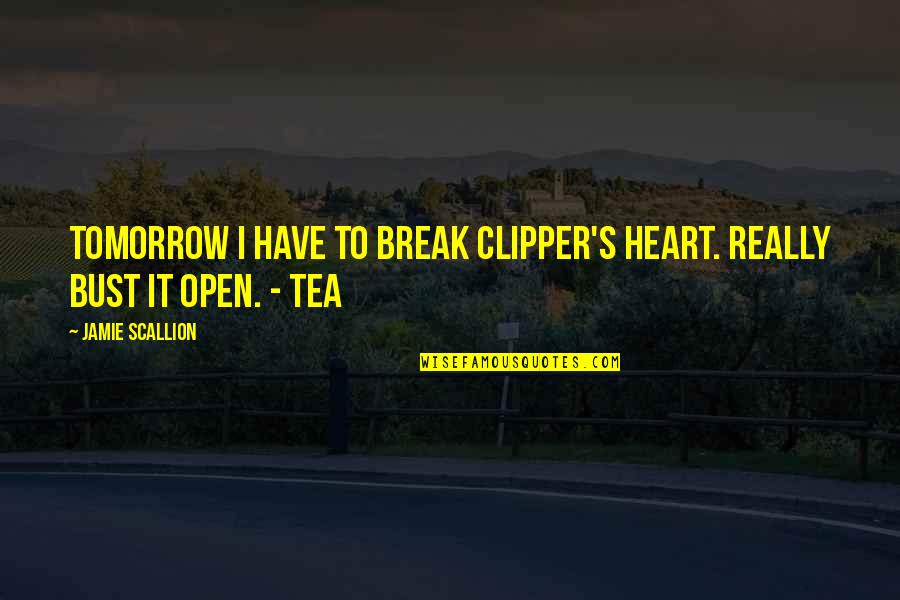 Bust Quotes By Jamie Scallion: Tomorrow I have to break Clipper's heart. Really