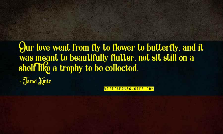 Butterfly And Flower Quotes By Jarod Kintz: Our love went from fly to flower to