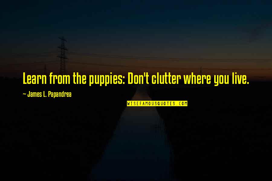 Bytemark Quotes By James L. Papandrea: Learn from the puppies: Don't clutter where you