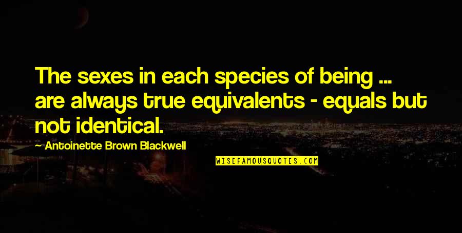 C N Brown Quotes By Antoinette Brown Blackwell: The sexes in each species of being ...
