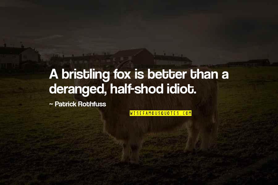 Cachorros Boxer Quotes By Patrick Rothfuss: A bristling fox is better than a deranged,