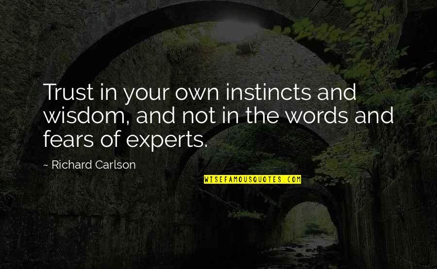 Cadeiras Auto Quotes By Richard Carlson: Trust in your own instincts and wisdom, and