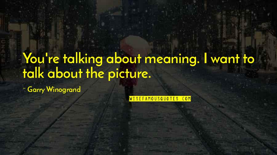 Calmative Quotes By Garry Winogrand: You're talking about meaning. I want to talk