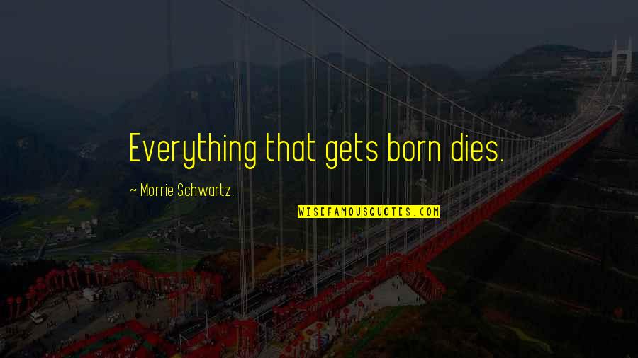 Camadathol Quotes By Morrie Schwartz.: Everything that gets born dies.