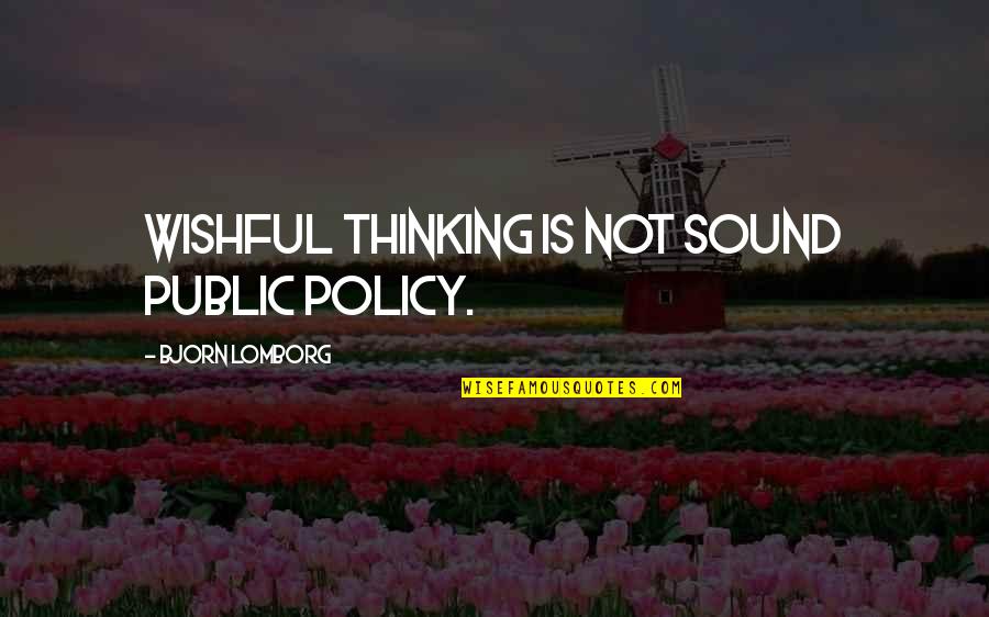 Camloc Quotes By Bjorn Lomborg: Wishful thinking is not sound public policy.