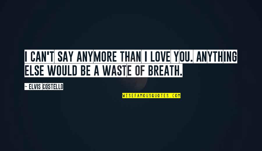 Can Anything Be A Quotes By Elvis Costello: I can't say anymore than I love you.