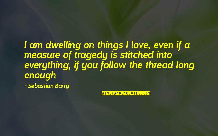 Cancellous Tissue Quotes By Sebastian Barry: I am dwelling on things I love, even