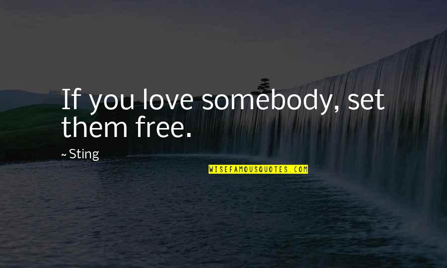 Cancellous Tissue Quotes By Sting: If you love somebody, set them free.