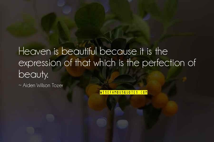 Cancer Funny Quotes By Aiden Wilson Tozer: Heaven is beautiful because it is the expression