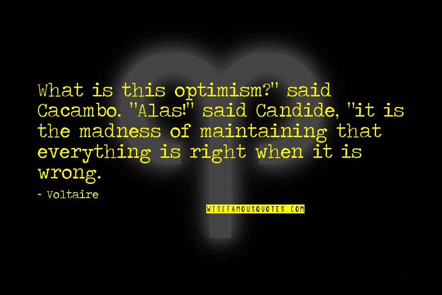 Candide Quotes By Voltaire: What is this optimism?" said Cacambo. "Alas!" said