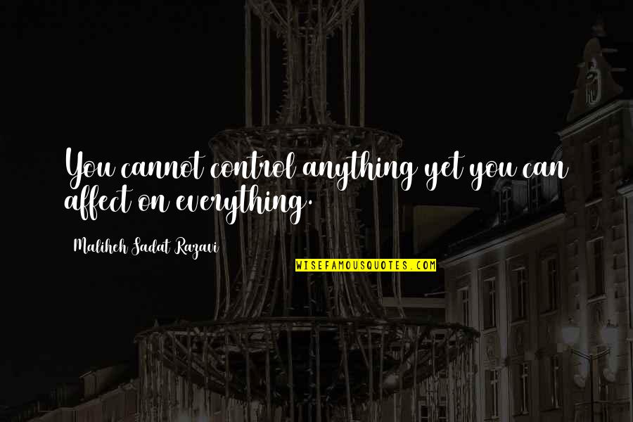 Cannot Control Quotes By Maliheh Sadat Razavi: You cannot control anything yet you can affect