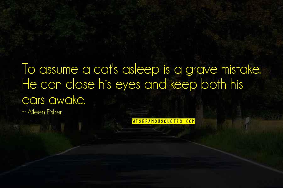 Can't Close My Eyes Quotes By Aileen Fisher: To assume a cat's asleep is a grave