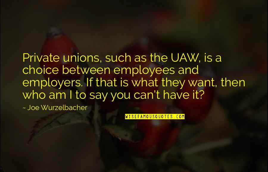 Can't Have What You Want Quotes By Joe Wurzelbacher: Private unions, such as the UAW, is a