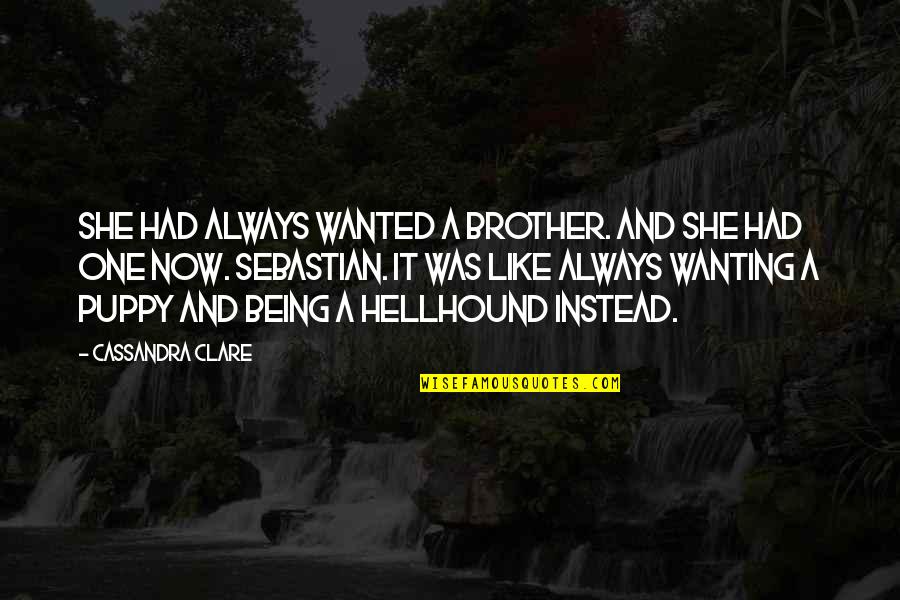 Cant Travel Quotes By Cassandra Clare: She had always wanted a brother. And she