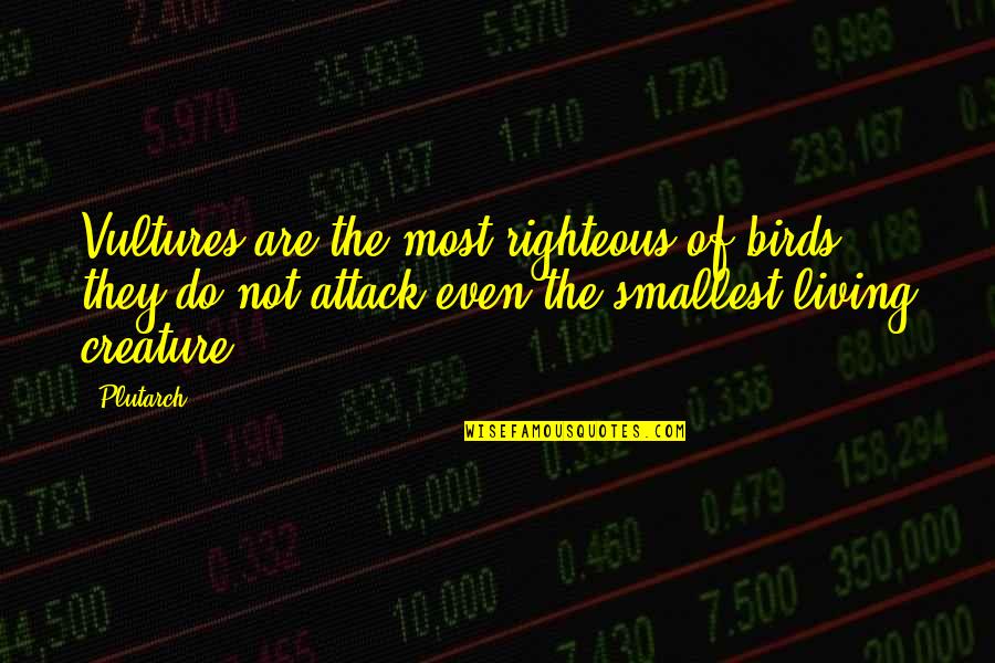 Cantece Crestine Quotes By Plutarch: Vultures are the most righteous of birds: they