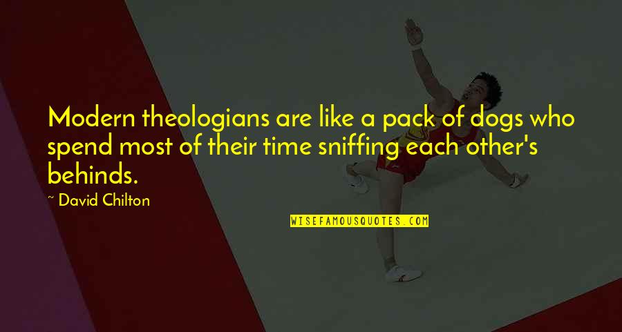 Cantiere Medellin Quotes By David Chilton: Modern theologians are like a pack of dogs